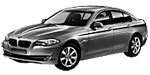 BMW F10 P258A Fault Code